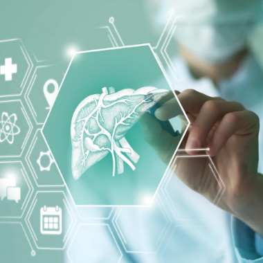 Liver Health